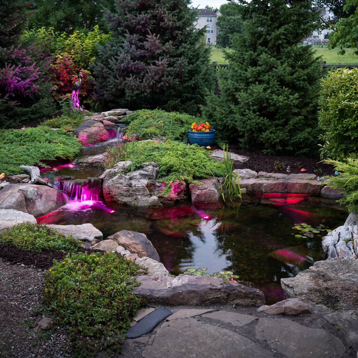 Medium Deluxe Pond Kit, 11' x 16' size